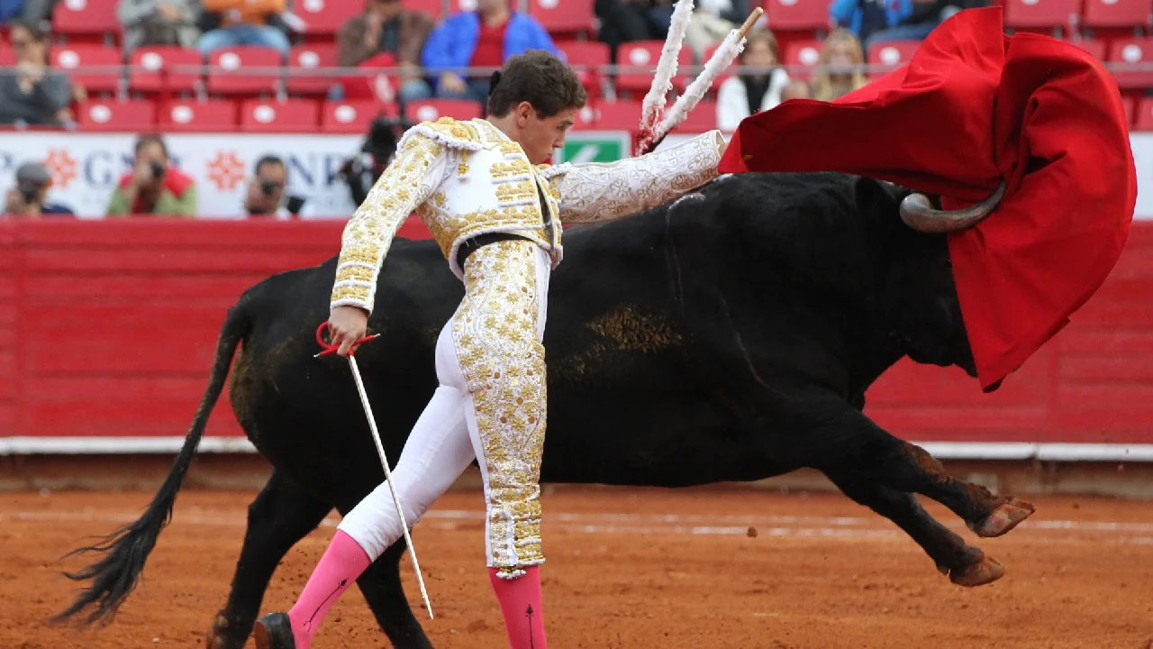 No habrá más corridas de toros en Colombia y otras actividades: Corte Constitucional se pronunció