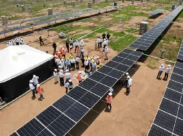 Anla aprueba parque solar en Tolima y subestación en Huila para transición energética