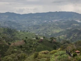 ¿Protección o restricción? Debate por nueva APPA en Jericó, Antioquia