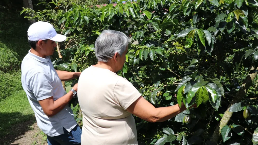 Conozca de qué se trata la Turbina de Crédito Agropecuario y a quiénes beneficia