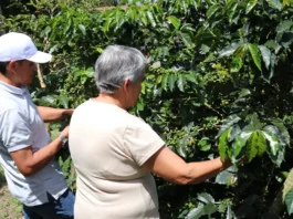 Conozca de qué se trata la Turbina de Crédito Agropecuario y a quiénes beneficia