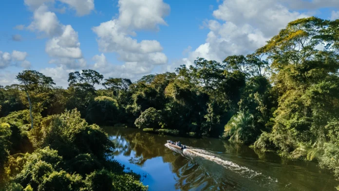 La posible prohibición de exploración en la Amazonía colombiana ha reabierto el debate sobre cómo equilibrar la conservación ambiental con el desarrollo económico en una de las regiones más biodiversas del país. La posible prohibición de exploración en la Amazonía colombiana ha reabierto el debate sobre cómo equilibrar la conservación ambiental con el desarrollo económico en una de las regiones más biodiversas del país.