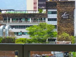 Caso Área Metropolitana: así se armó el caso y esto dijo oficialmente la entidad