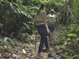 La Amazonía colombiana es un destino imprescindible para quienes buscan aventuras en entornos naturales vírgenes.