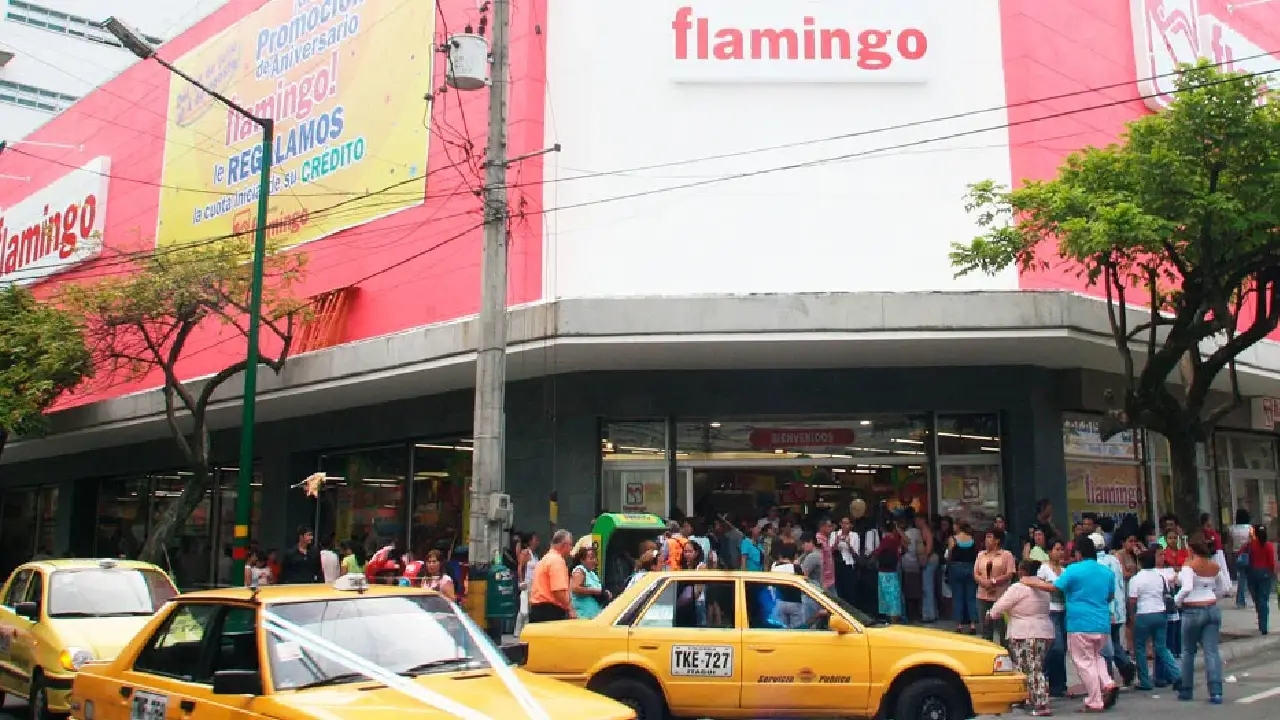 Flamingo