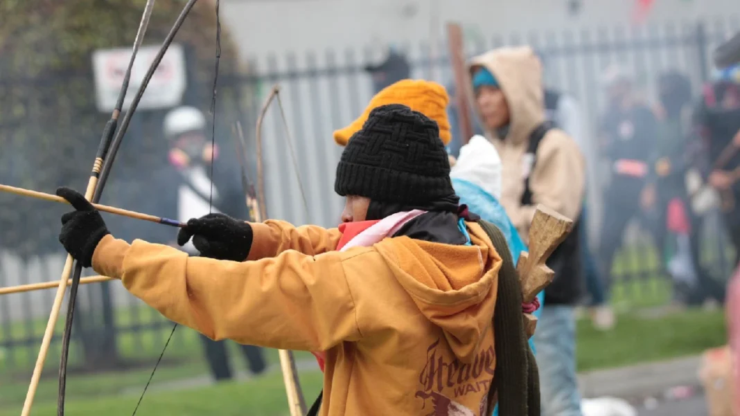 Fotos y videos de los ataques con flechas a Policías en Bogotá