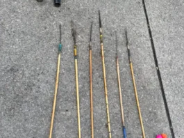 Indígenas atacaron policías con flechas, bloquean Calle 26 y provocan caos en Bogotá