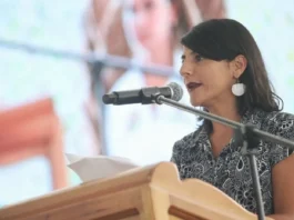 Nueva Licencia Ambiental Solar reducirá en 66 % tiempos de trámites en proyectos renovables