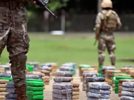 La verdadera prioridad de Defensa: enfrentar el narcotráfico en casa, no en Gaza
