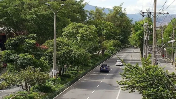 Áreas verdes conservadas de Medellín equivalen a 247 canchas como el Atanasio Áreas verdes conservadas de Medellín equivalen a 247 canchas como el Atanasio