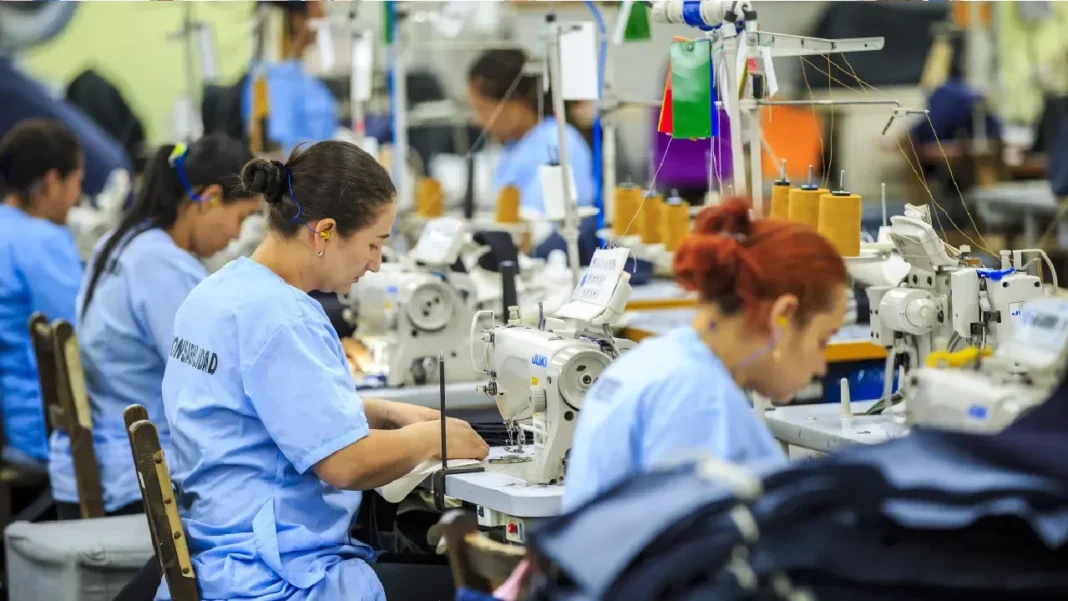 Sector textil colombiano: un tejido de innovación, sostenibilidad y crecimiento
