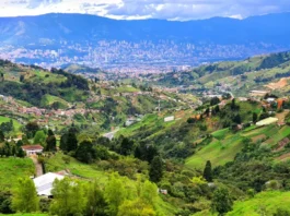 Alianza Medellín Cero Hambre se implementa en la ciudad y estos son los beneficiados