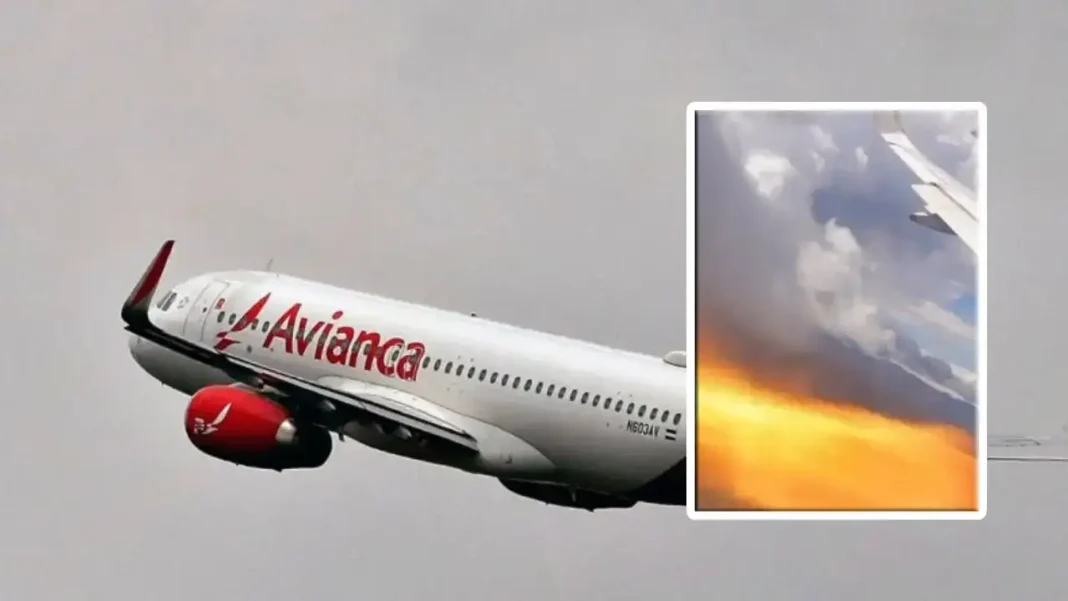 ¿Qué ocurre cuando un avión, como el de Avianca, choca con un pájaro?