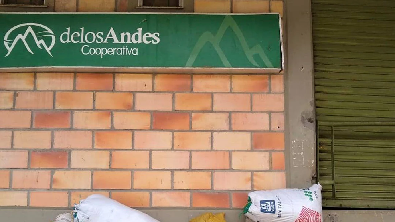 Cooperativa de Caficultores de Andes retoma actividades después de seis años_ así quedó el pacto con el Gobierno Cooperativa de Caficultores de Andes retoma actividades después de seis años: así quedó el pacto con el Gobierno