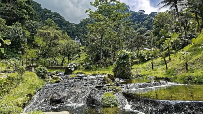 Así ha sido la recuperación de cuencas en Medellín, clave para proteger el agua