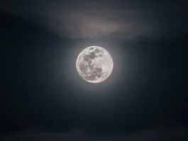 Qué es la luna llena de noviembre, cuándo pasa y cómo ver en Colombia
