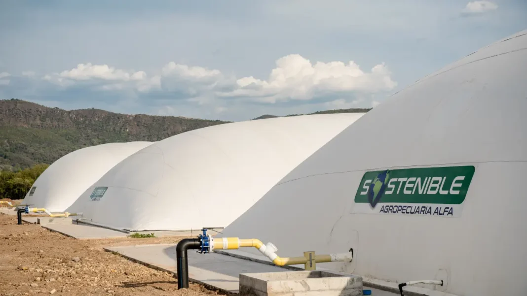 Porkcolombia realizará el 5º Foro de Sostenibilidad, Mercados de Carbono 2025 en Barranquilla el 2 y 3 de diciembre, destacando el liderazgo de la porcicultura sostenible en Colombia.