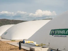 Porkcolombia realizará el 5º Foro de Sostenibilidad, Mercados de Carbono 2025 en Barranquilla el 2 y 3 de diciembre, destacando el liderazgo de la porcicultura sostenible en Colombia.