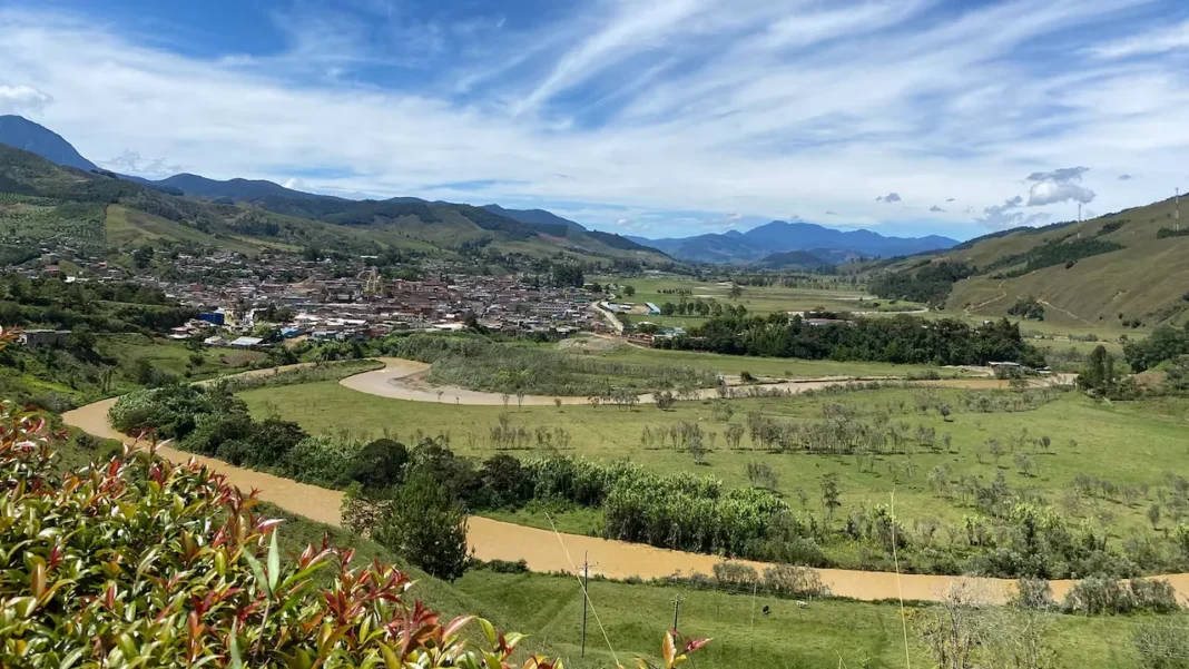 Así le ha ido a VIVA en este 2025, avances y cifras que debe conocer