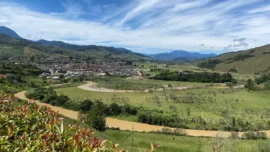 Así le ha ido a VIVA en este 2025, avances y cifras que debe conocer