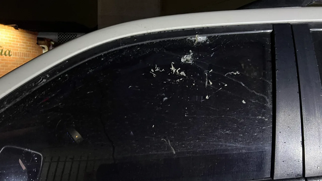 Quién es y qué hace el senador Temístocles Ortega que sufrió un atentado hoy 1 asi ocurrio el ataque y quien es el congresista de Cambio Radical