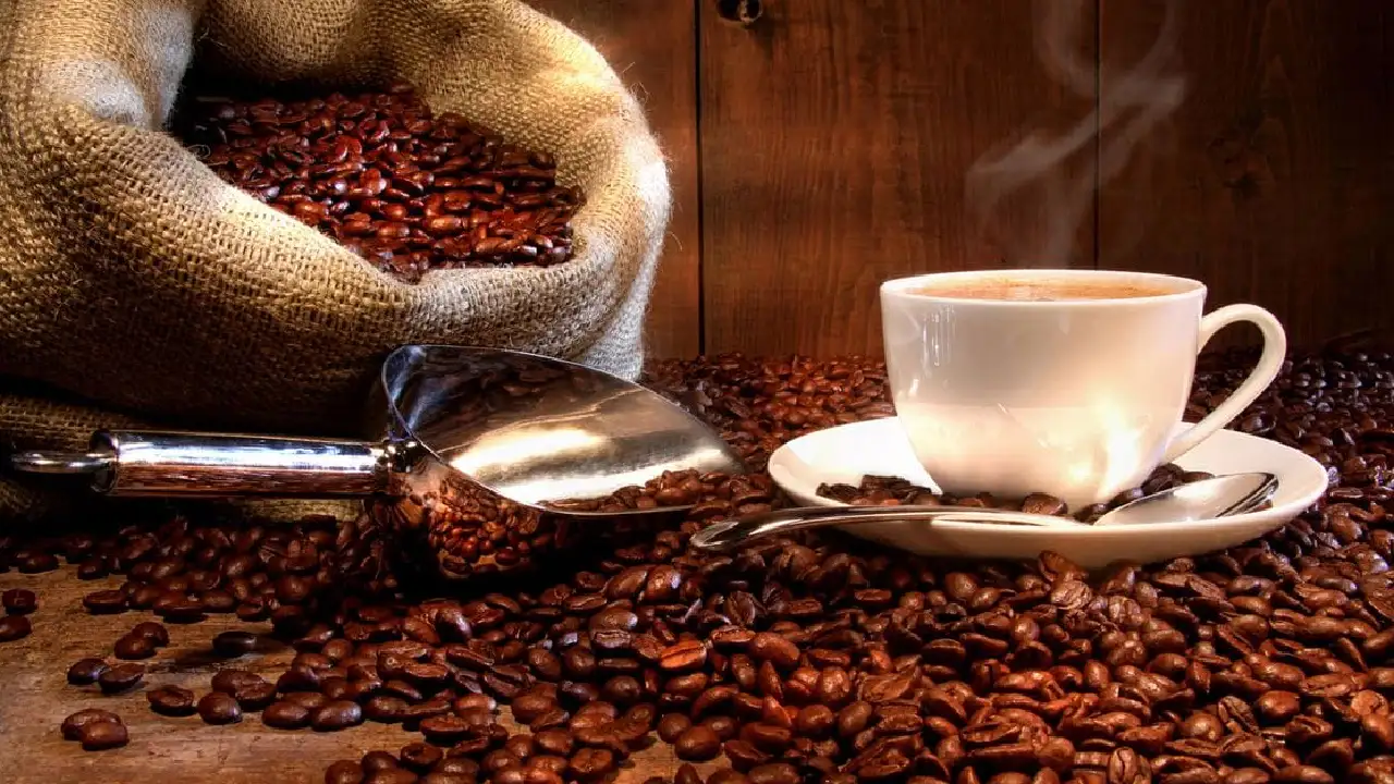 Estados Unidos elimina aranceles al café: qué significa esto para Colombia en materia competitiva