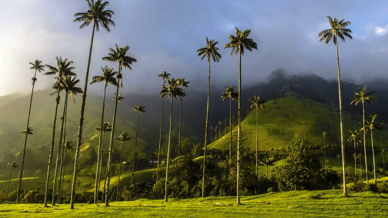 Destinos baratos para viajar en diciembre en Colombia: opciones para todos los presupuestos 3 Eje cafetero: naturaleza y termales sin gastar de más