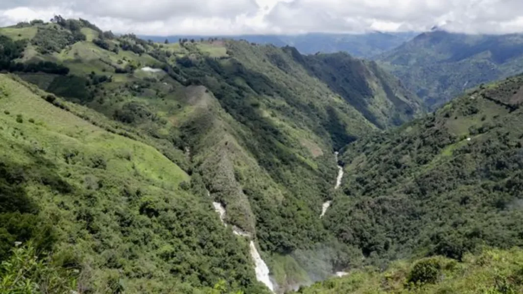Así ha sido la recuperación de cuencas en Medellín, clave para proteger el agua