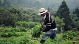 Así ha sido la recuperación de cuencas en Medellín, clave para proteger el agua