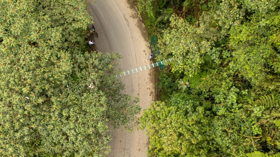 Medellín: Estos son los nuevos pasos para proteger la fauna en zonas de riesgo