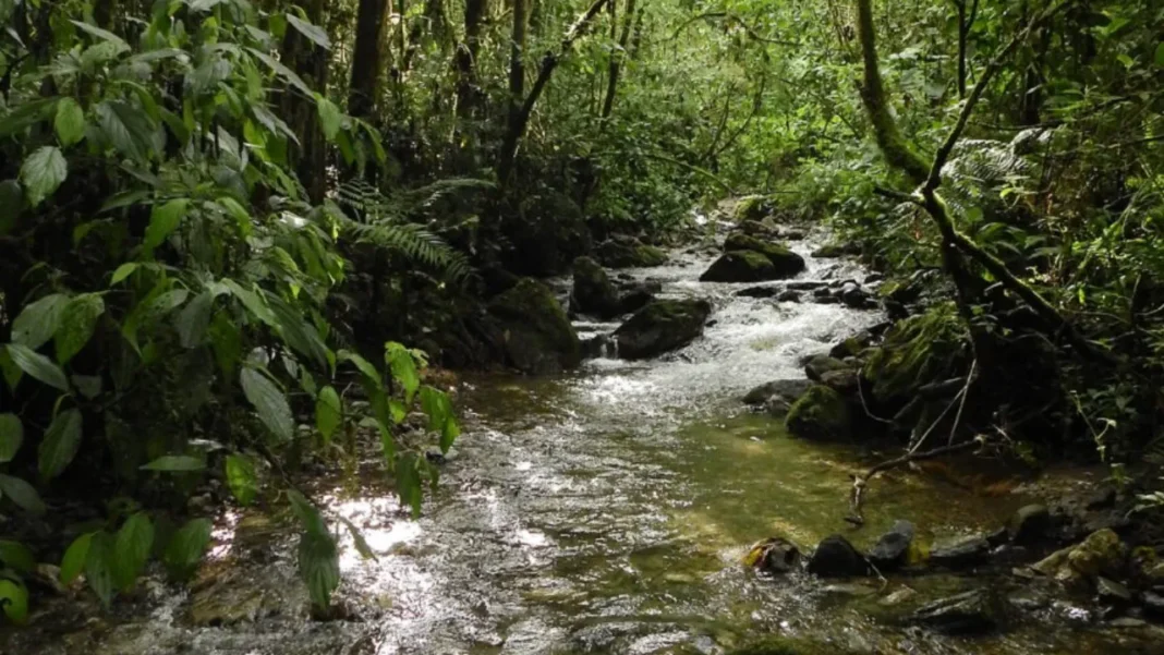 Qué está haciendo Medellín para proteger el agua, puntos críticos intervenidos