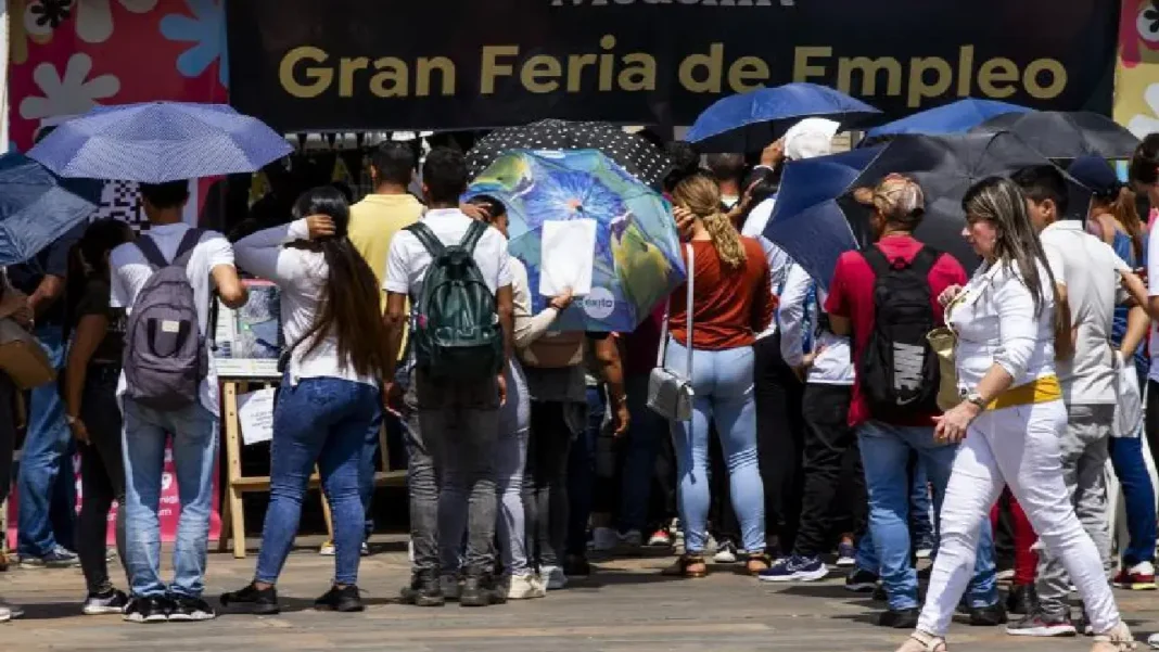 Así se distribuye el empleo juvenil en Colombia
