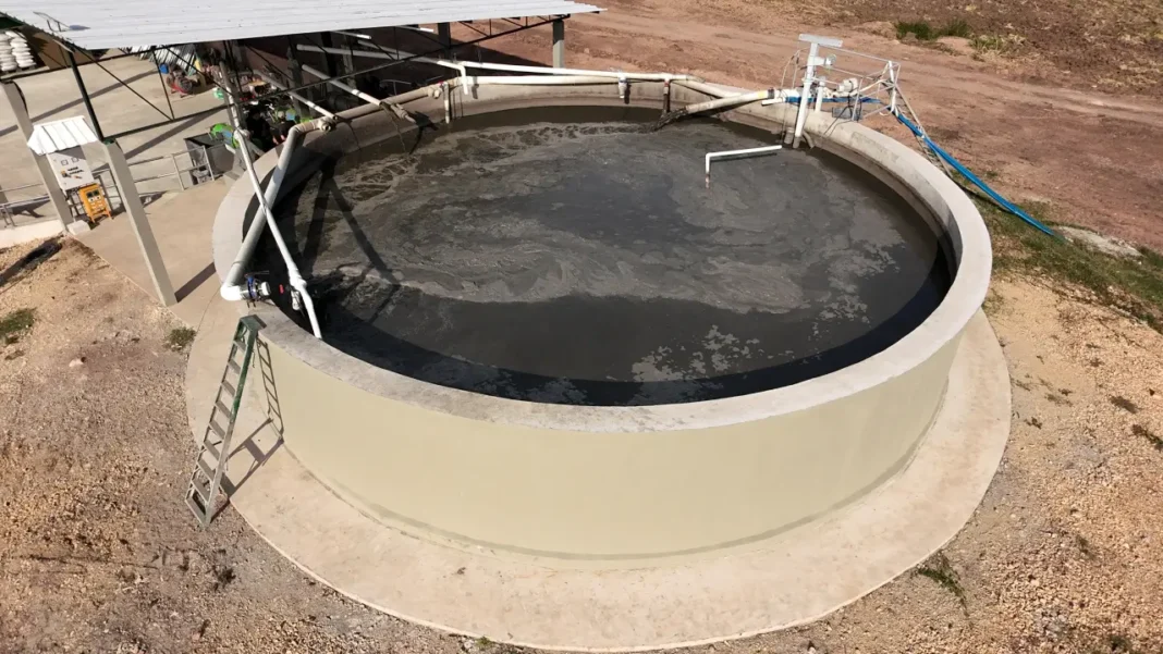 El quinto panel del Foro de Sostenibilidad 2025 destacó el biogás porcícola como solución clave para reducir metano, fortalecer la transición energética y cerrar brechas rurales en Colombia.