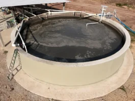 El quinto panel del Foro de Sostenibilidad 2025 destacó el biogás porcícola como solución clave para reducir metano, fortalecer la transición energética y cerrar brechas rurales en Colombia.