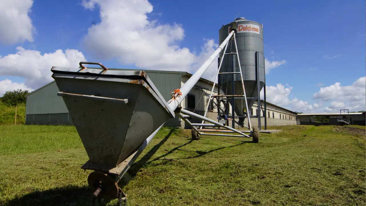 La bioenergía del territorio: el potencial del biogás para transformar la porcicultura colombiana 1 El biogás porcícola toma fuerza en Colombia como solución para la transición energética