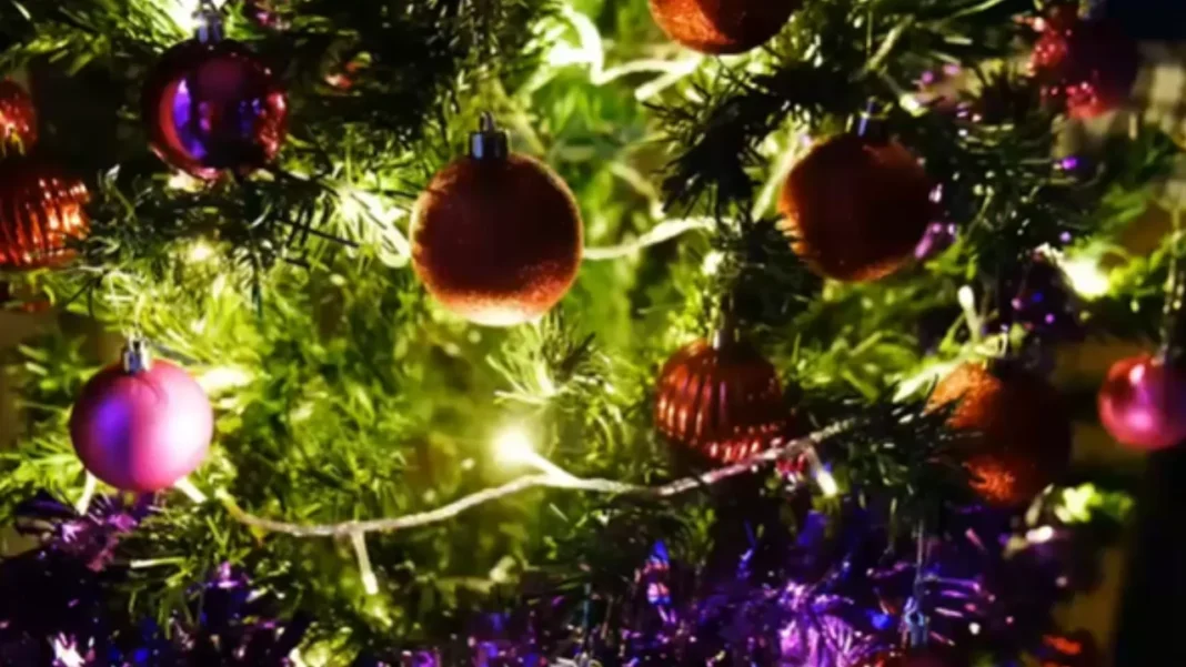 Para tener una navidad segura, acate estas sustanciales recomendaciones