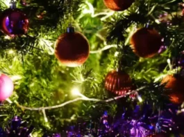 Para tener una navidad segura, acate estas sustanciales recomendaciones