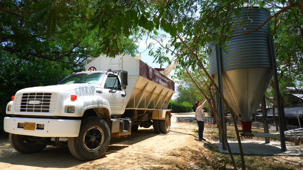 Mercados de carbono en la porcicultura: riesgos, oportunidades y regulaciones 1 La porcicultura colombiana avanza hacia los mercados de carbono con sostenibilidad, energía limpia y mejores prácticas
