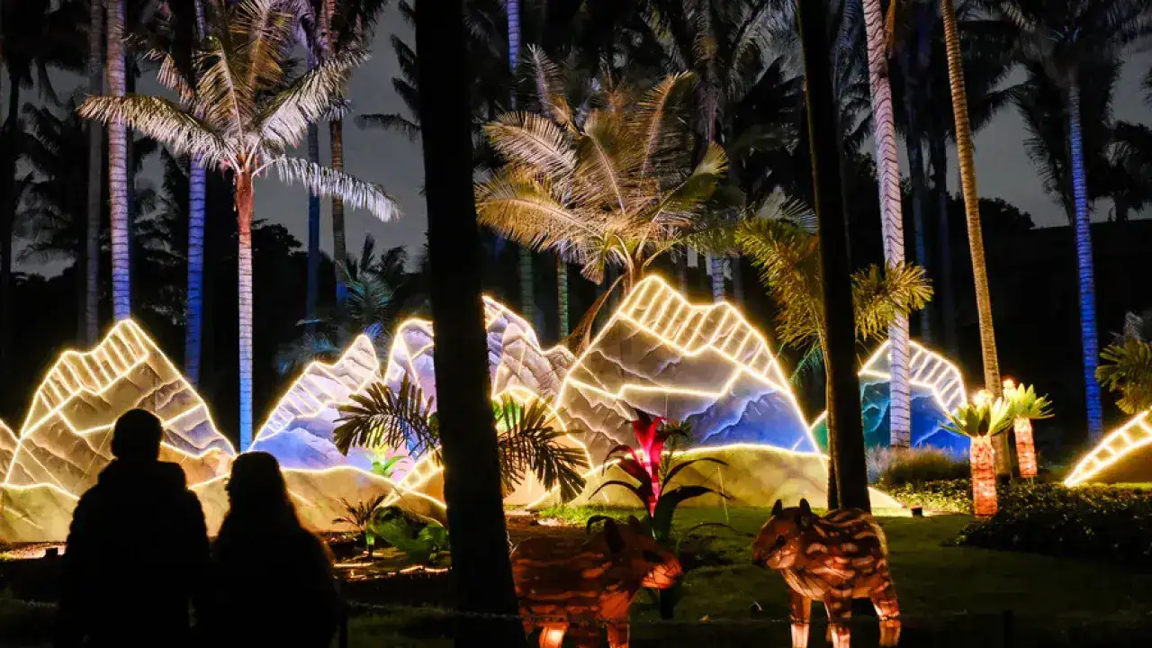 Jardín Botánico y su alumbrado 2025: Precios y horarios 1 El Jardín Botánico de Bogotá presenta Magia Natural: fechas, actividades y precios para diciembre