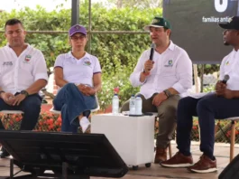 Así le ha ido a VIVA en este 2025, avances y cifras que debe conocer