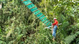 Medellín: Estos son los nuevos pasos para proteger la fauna en zonas de riesgo
