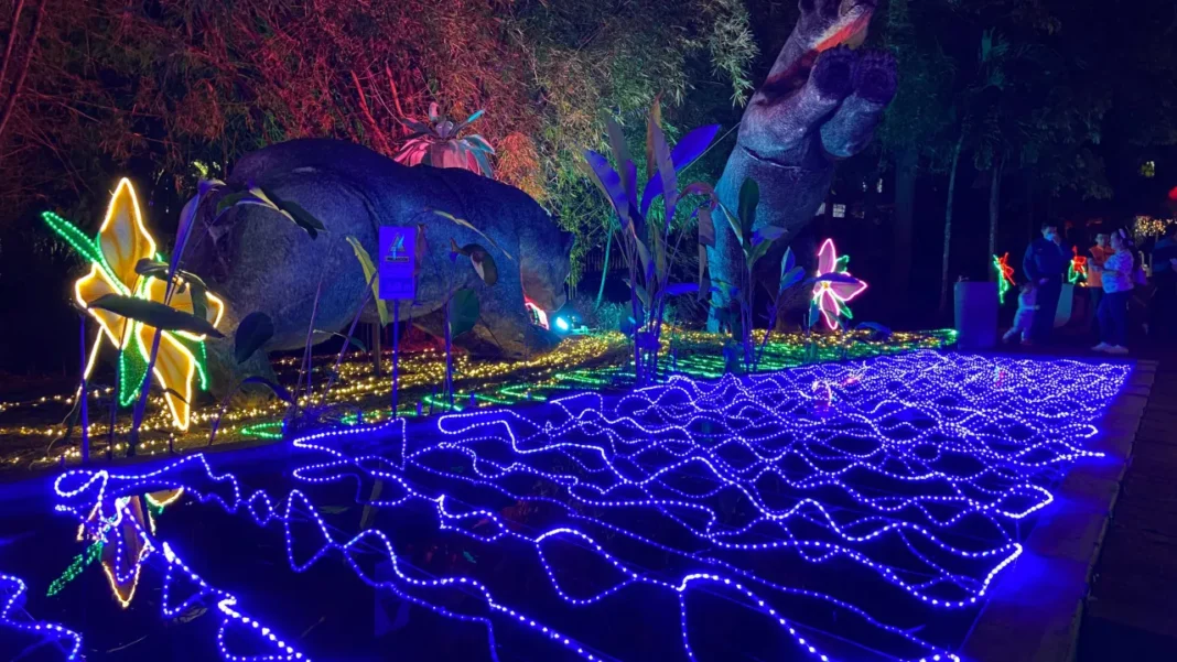 Fecha de inicio del alumbrado público navideño en Bucaramanga este 2025