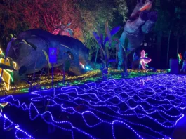 Fecha de inicio del alumbrado público navideño en Bucaramanga este 2025