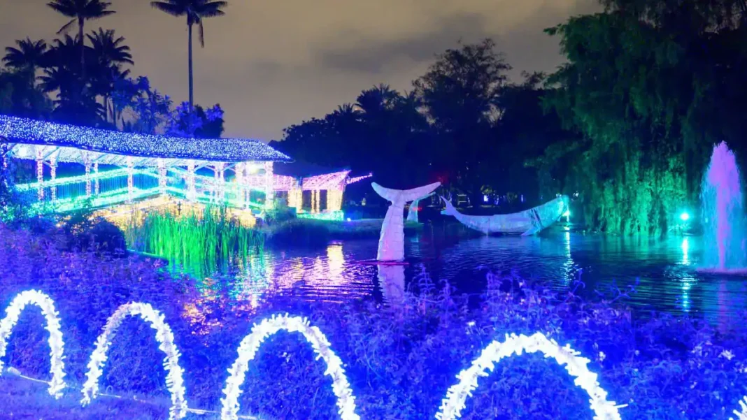 Jardín Botánico y su alumbrado 2025: Precios y horarios
