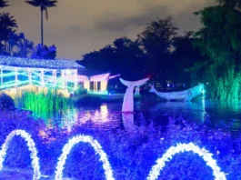 Jardín Botánico y su alumbrado 2025: Precios y horarios