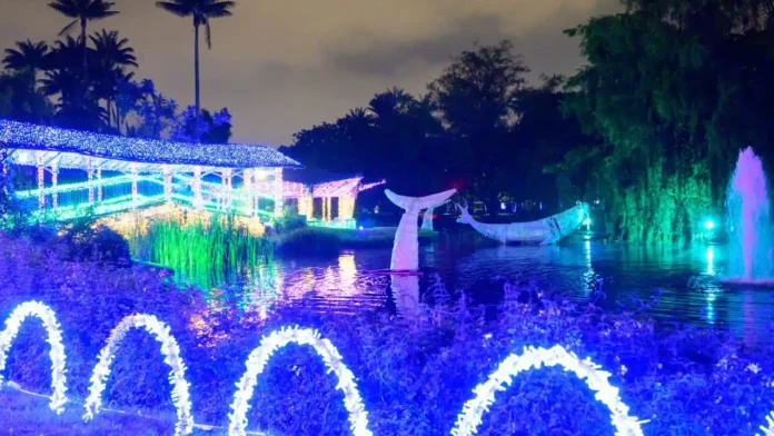 Jardín Botánico y su alumbrado 2025: Precios y horarios