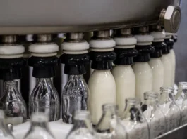 SIC confirma sanciones por leche adulterada en grandes empresas lácteas
