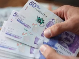 ¿Pagar deudas o invertir? Así aconsejan usar la prima de diciembre según expertos