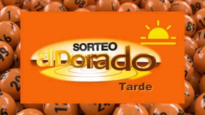 Dorado Tarde del 10 de diciembre: este es el número ganador de hoy