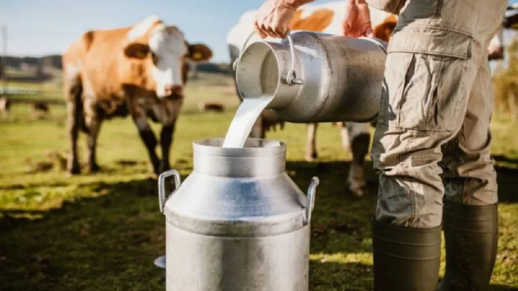 El 17% de la leche acopiada en el país llegó por importaciones durante 2025